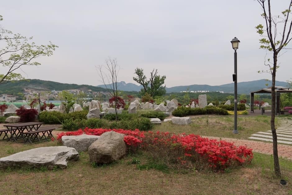 독바위공원_암석원