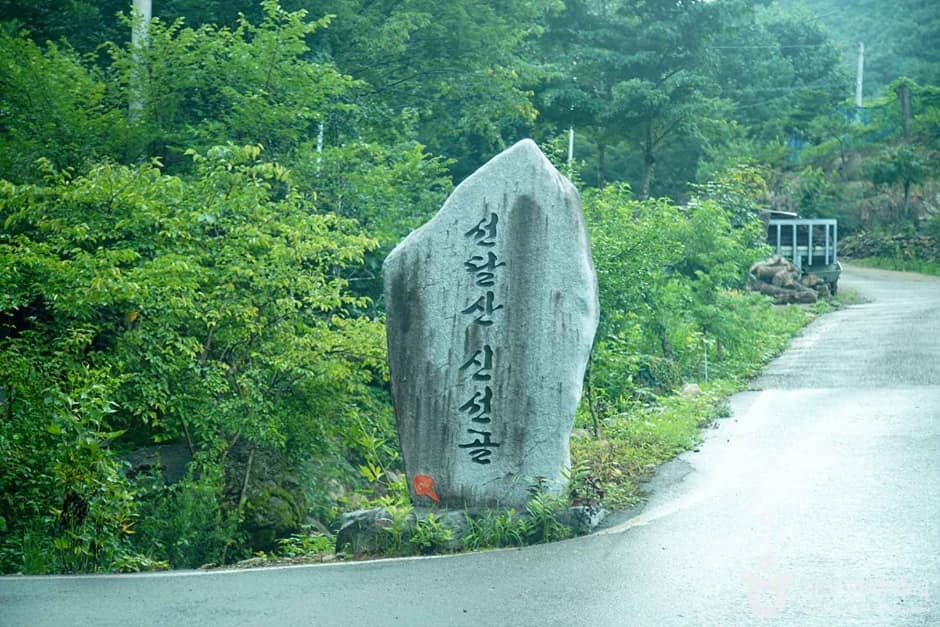 선달산 (17)