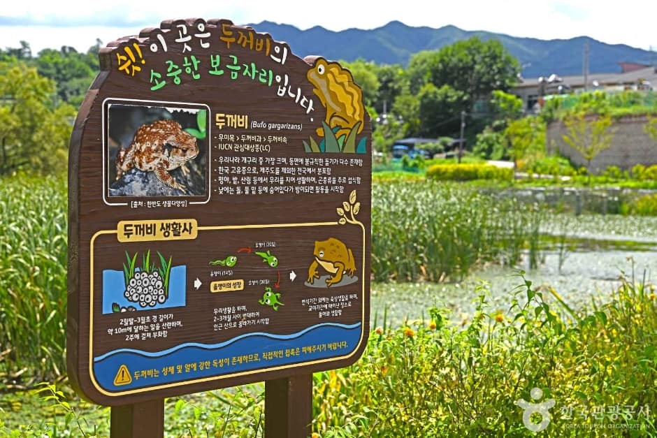 금곡소류지 (7)