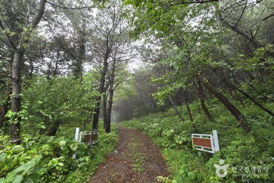 거린사슴_e (9)