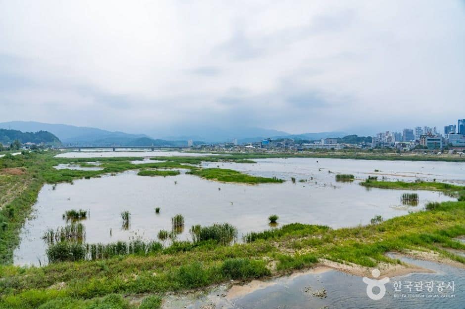 양양_남대천 (2)