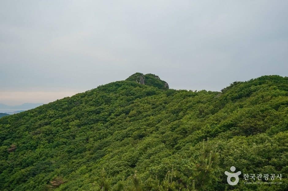 거제_북병산 (1)