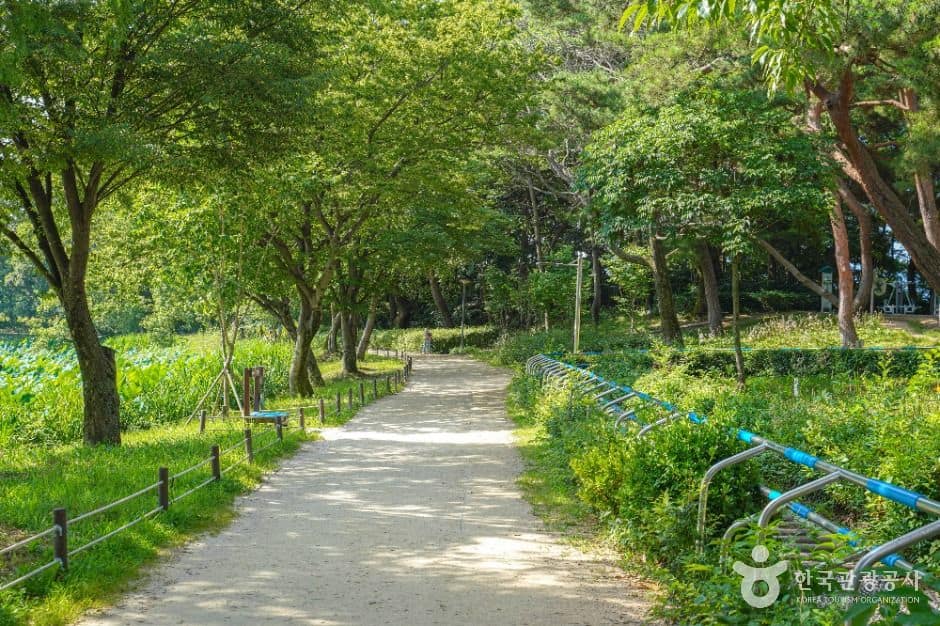 진주_강주연못 (2)