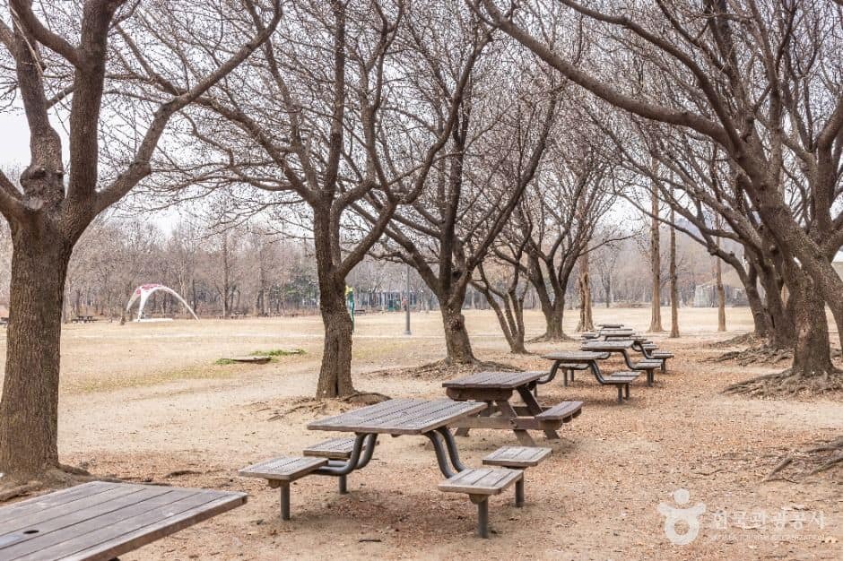 서울_서울숲 (1)
