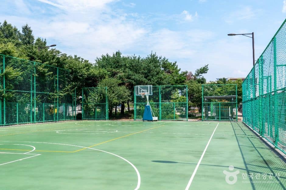 평택_포승레포츠공원 (3)