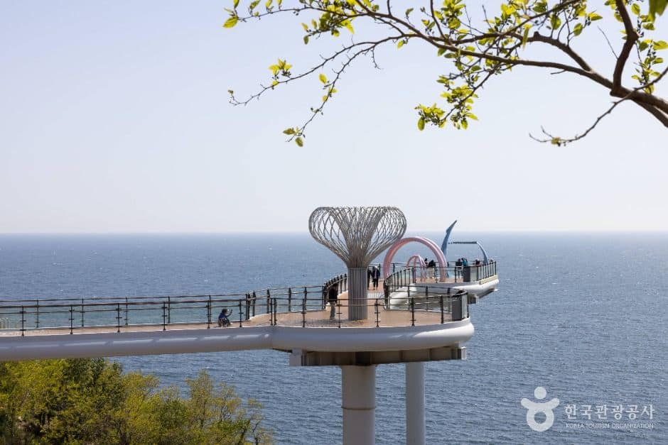 동해_도째비골스카이밸리 (8)