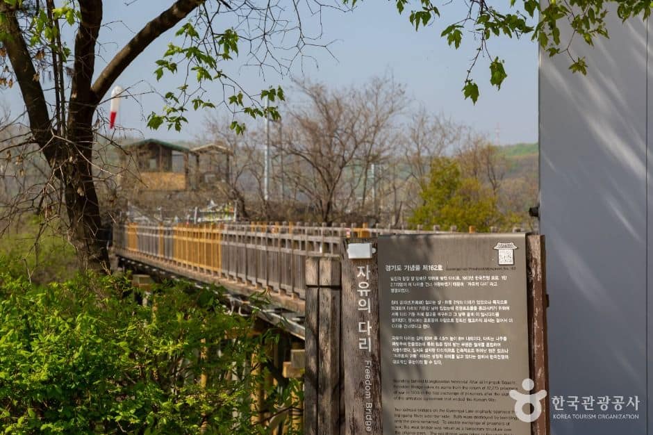 파주_임진강 독개다리 (3)