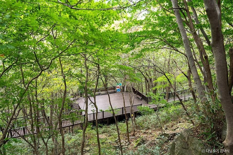 전남 장성 여행 코스 아이와 가볼만한 곳_방장산자연휴양림 (6)