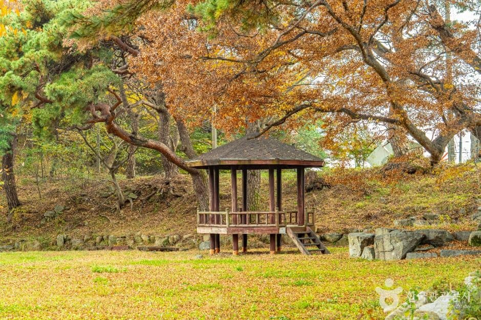남원_남원 추어마을 (8)