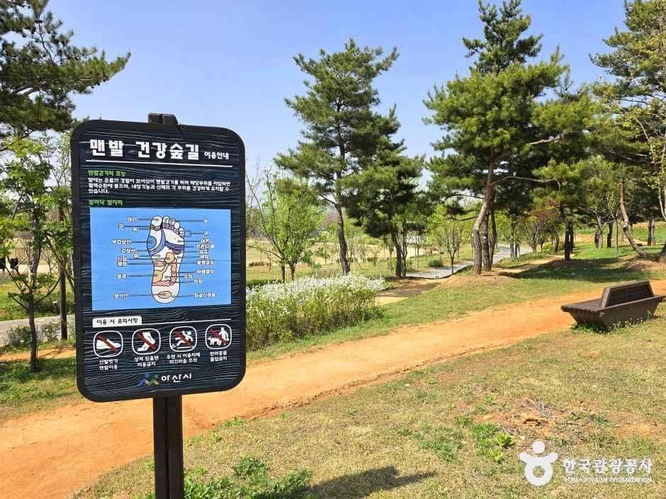 충남_아산_아산문화공원(구.권곡문화공원) 청소년수련관지구_체험_1.jpg
