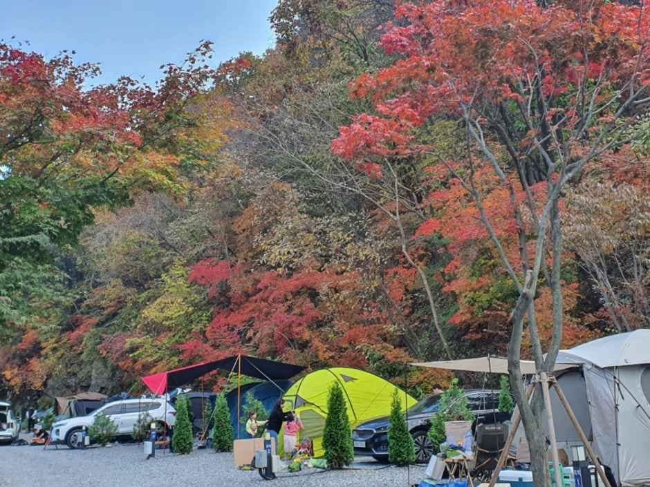 포천_산정호수돌고래캠핑장 (9).jpg