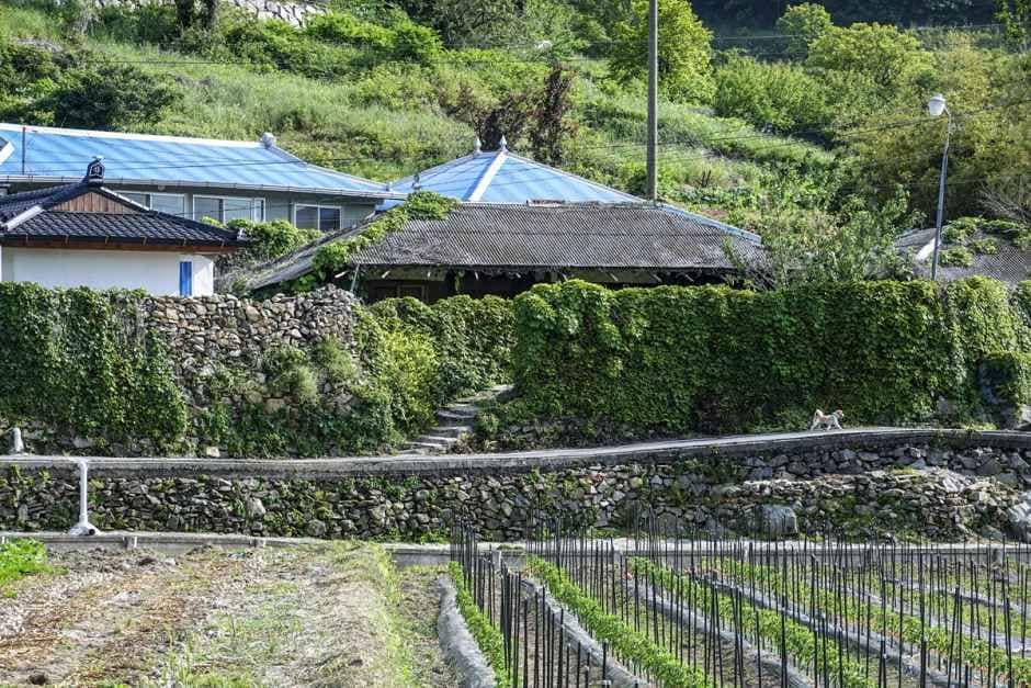 남해_[남해바래길 9코스] 구운몽길 (5).jpg