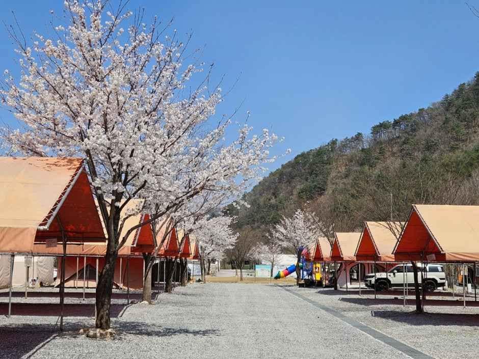원주_원주한울오토캠핑장 (4).jpg