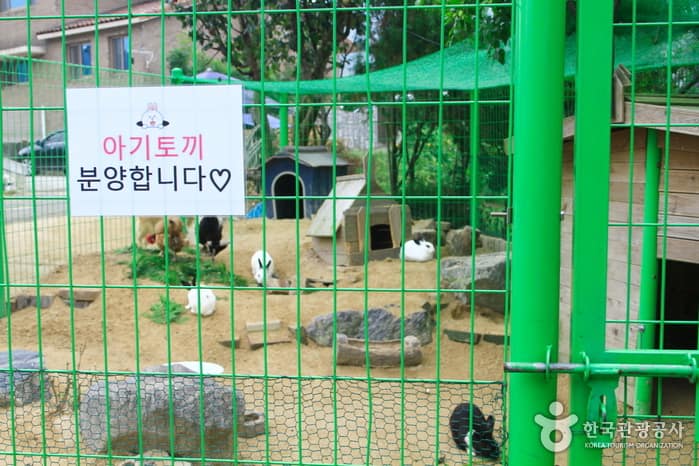 경기_의왕_산촌누룽지백숙04