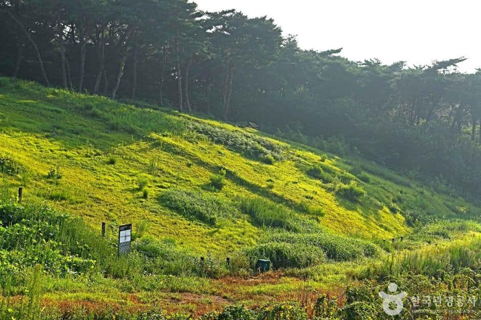 고창 분청사기요지 (2)