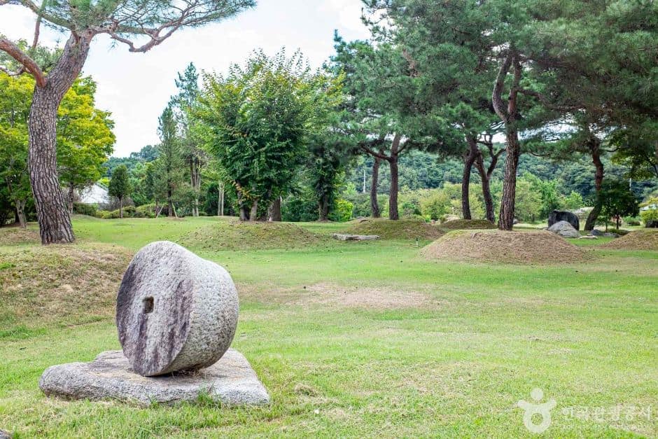 영주_장수조이월드 (2)