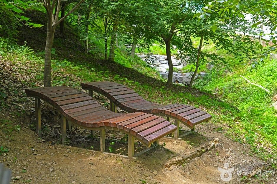 진천_생거진천 자연휴양림 (7)