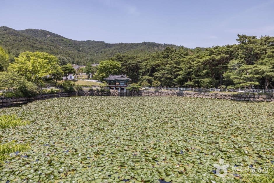 경주_통일전(경주) (5)