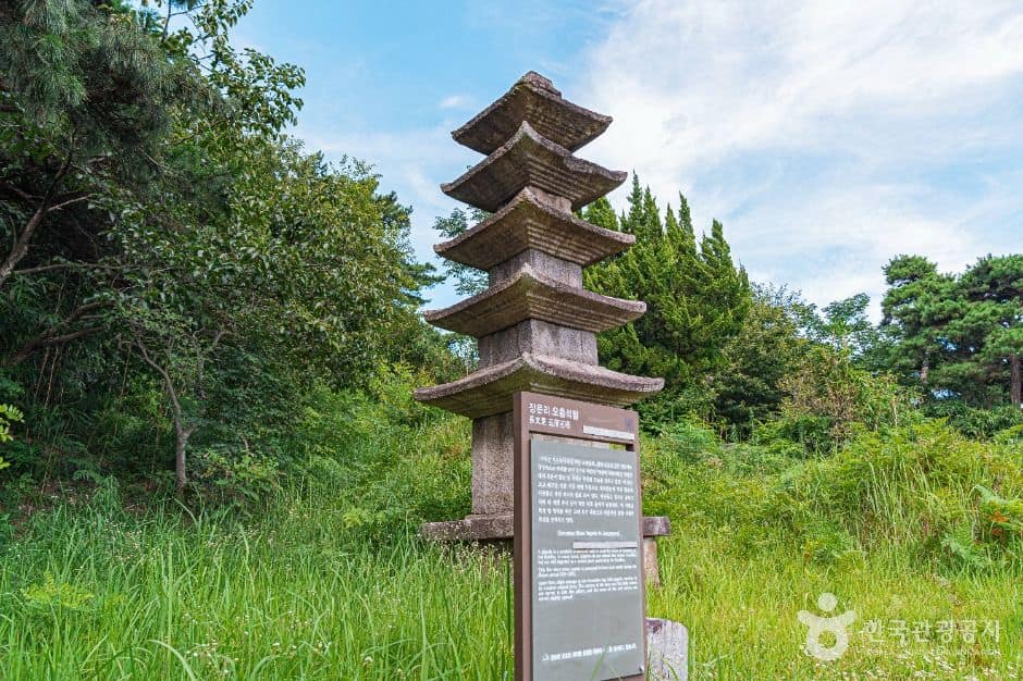 정읍_장문리오층석탑 (2)