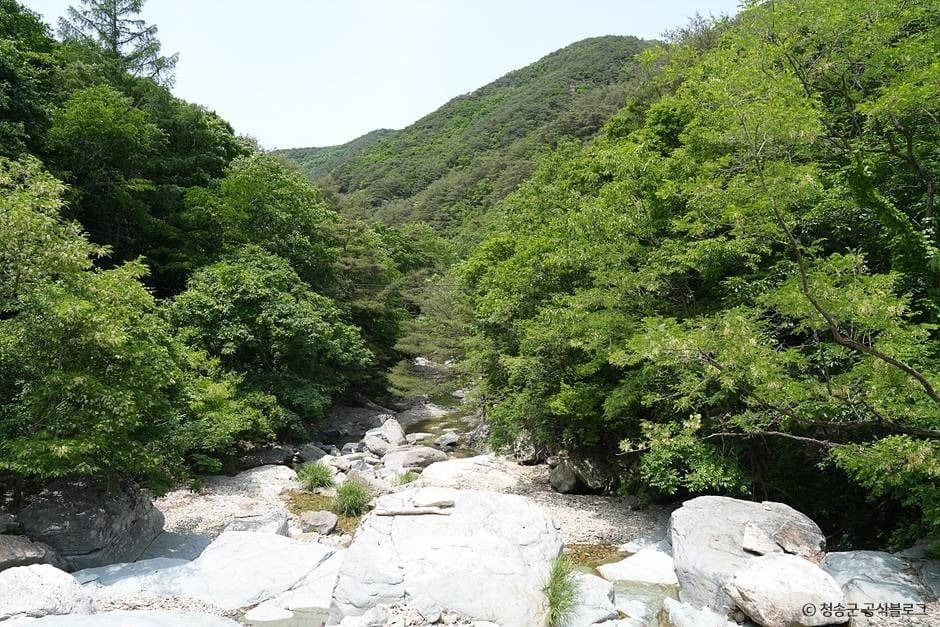 청송_노루용추 계곡 (2)