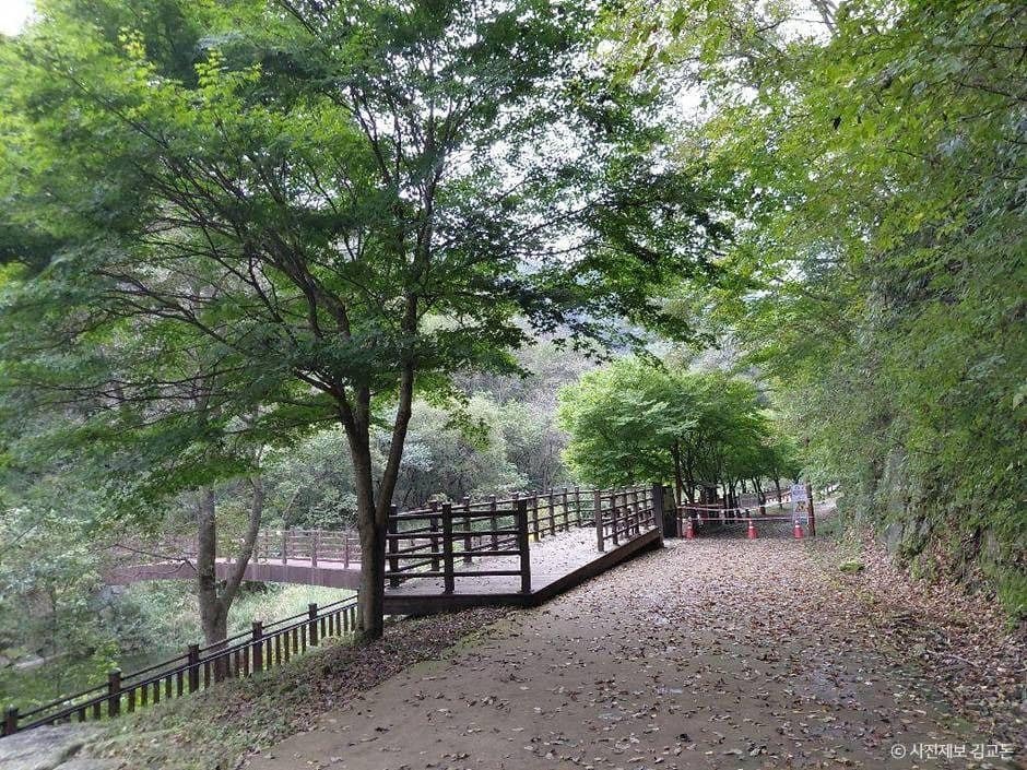 장수_방화동자연휴양림 (5)