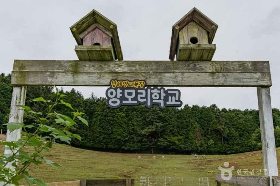 남해_남해 양모리학교 (5).jpg