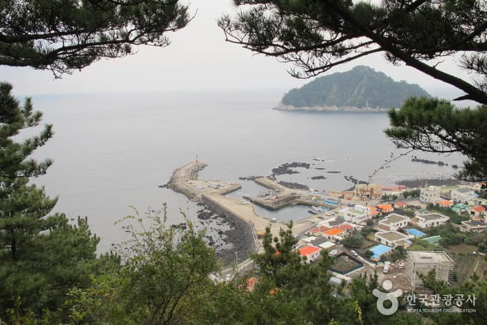 제주_서귀포_제지기오름06