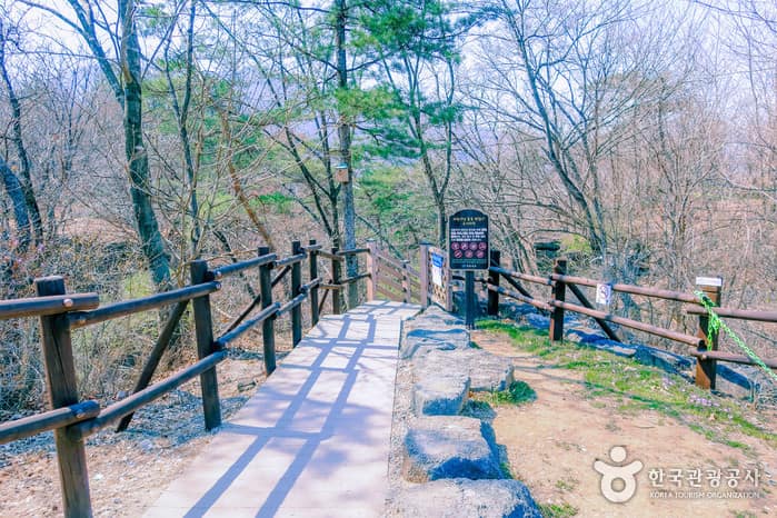 두루누비_반려견과 함께 걷기 좋은 길 '한탄강 주상절리길 01코스 구리이길'_12
