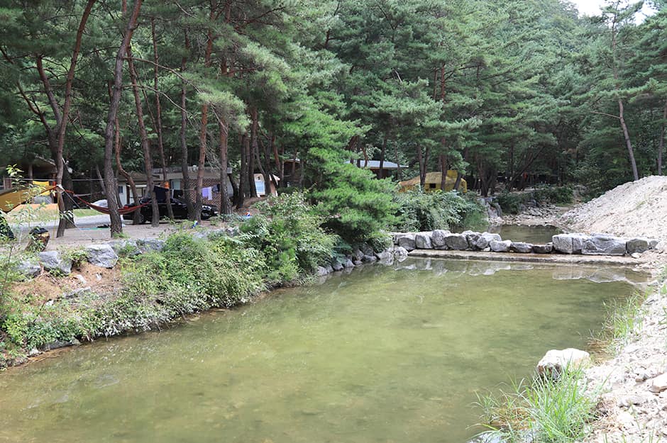 금물산하늘소캠프_계곡