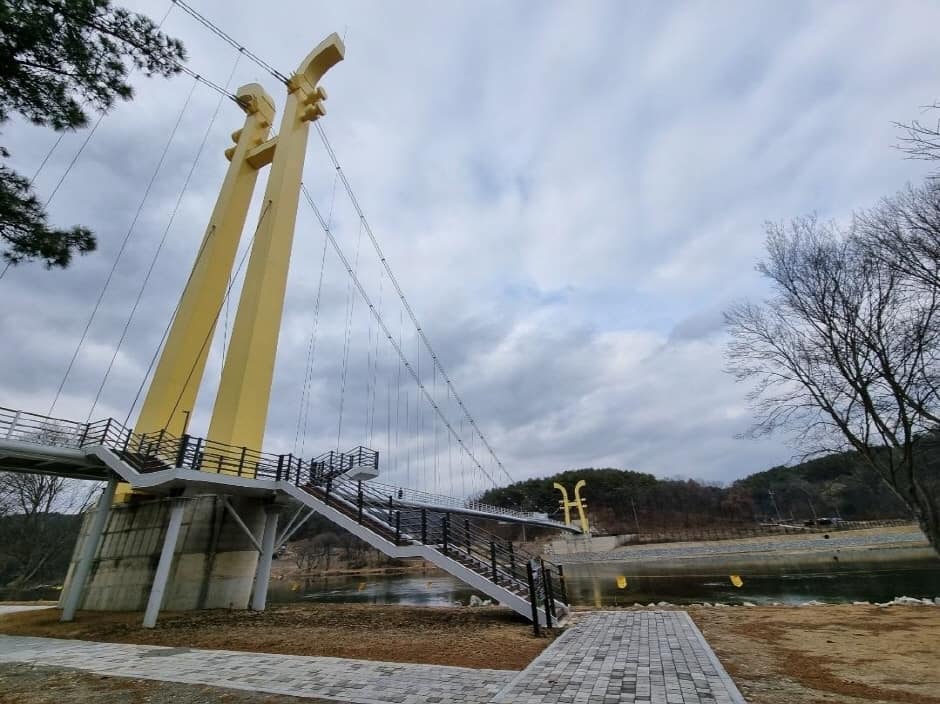 송호국민관광지 야영장 (2)