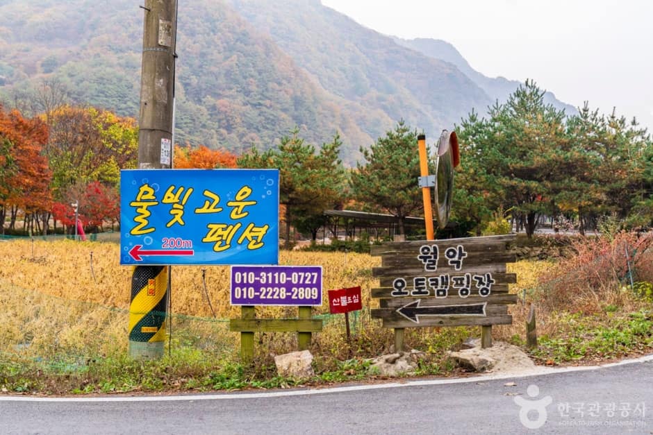 월악오토캠프장 (1)