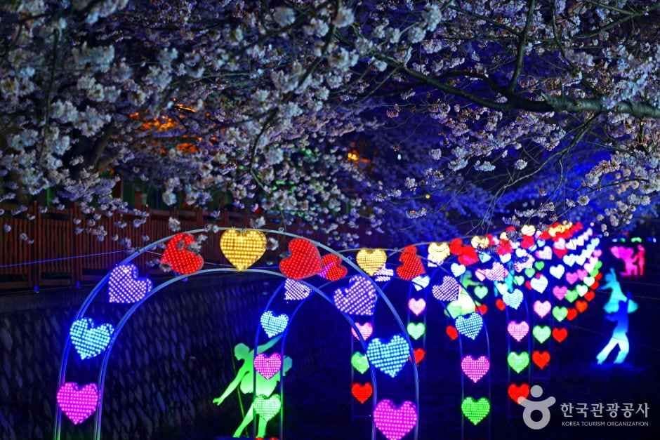 여좌천(벚꽃명소) (3)