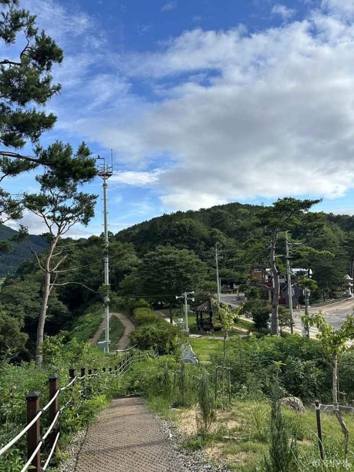 옥천금강수변친수공원 (1)