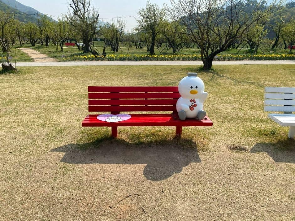 김해_용당나루 매화공원 (6)