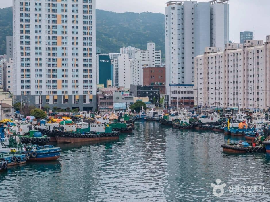 부산_부산남항 (5)
