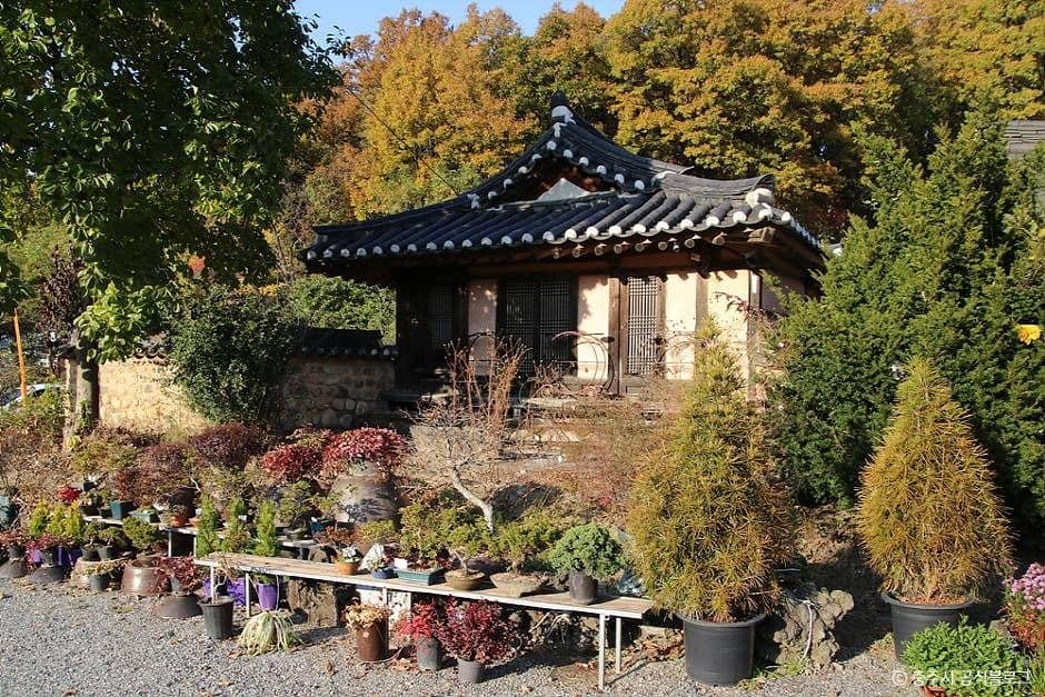 충주_충주 최응성 고가 (2)