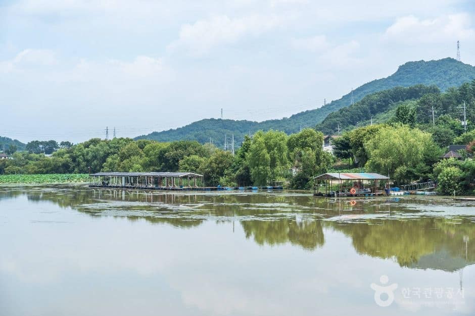 아산_월랑저수지 (2)