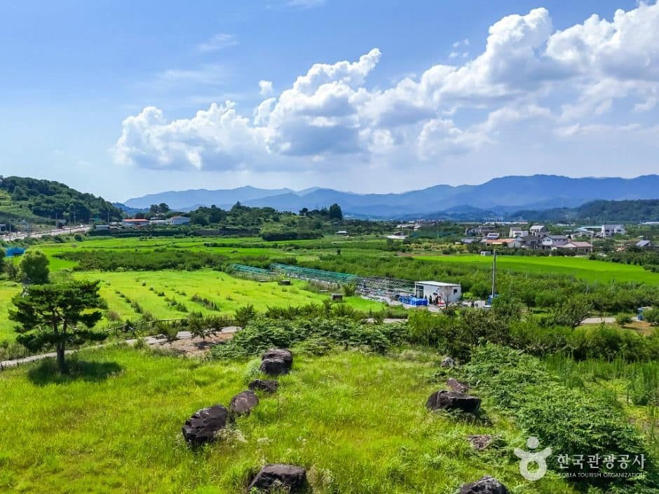 청도_청도 범곡리 지석묘군 (7)