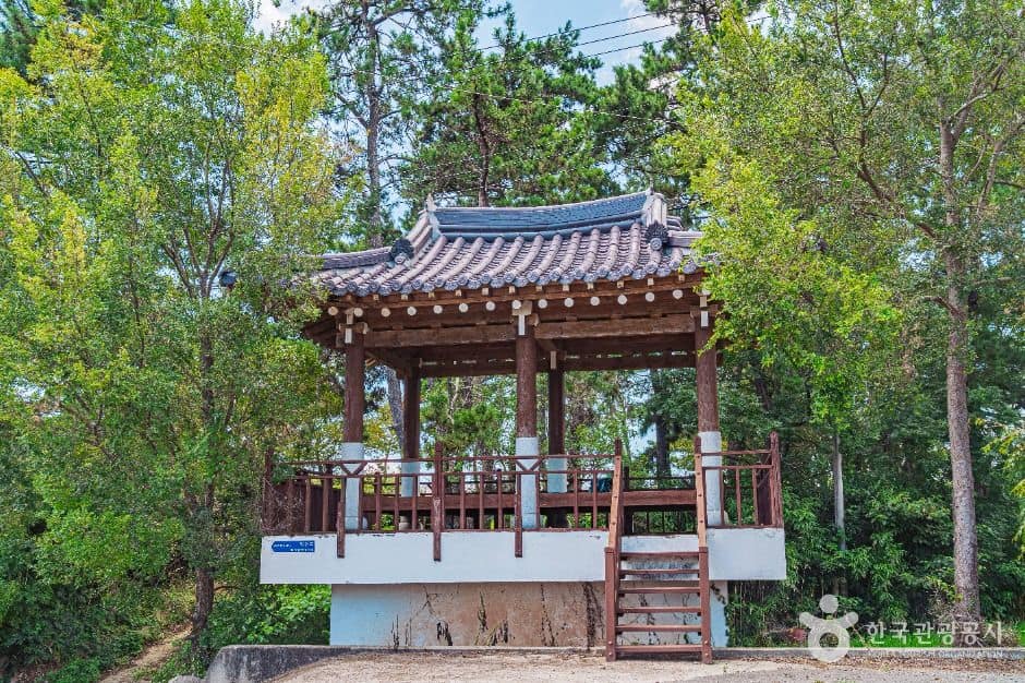 무안_무안 하늘백련마을(백련지마을) (5)