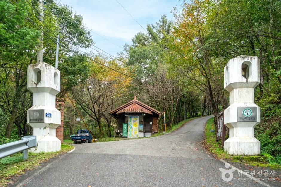 예천_학가산자연휴양림 (1)