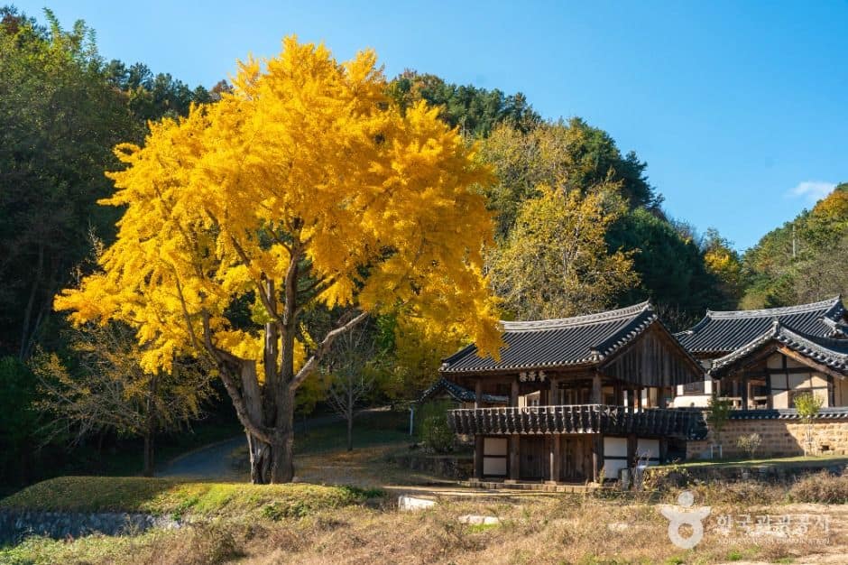안동_예안향교 (3)