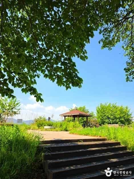 충북_제천_수도산도시숲_외부_4.jpg