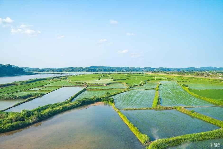 파주_파주 장단콩마을 (1).jpg