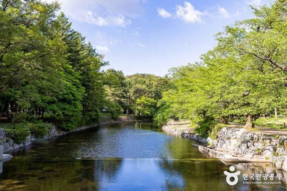 보은_속리산조각공원 (5).jpg