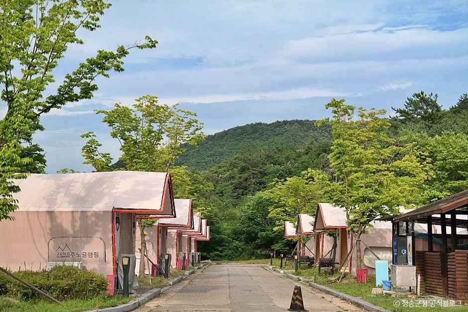 청송_청송오토캠핑장 (2).jpg