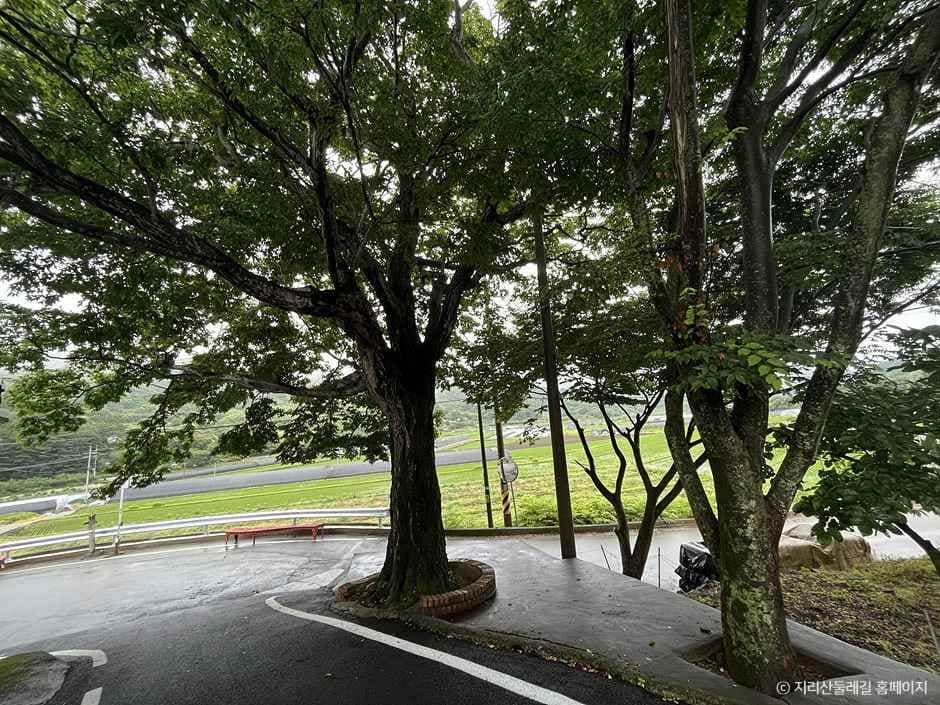 하동_[지리산둘레길] 하동읍-서당 (5).jpg