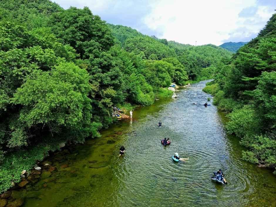 인제 연가리 오토캠핑장 (2).jpg
