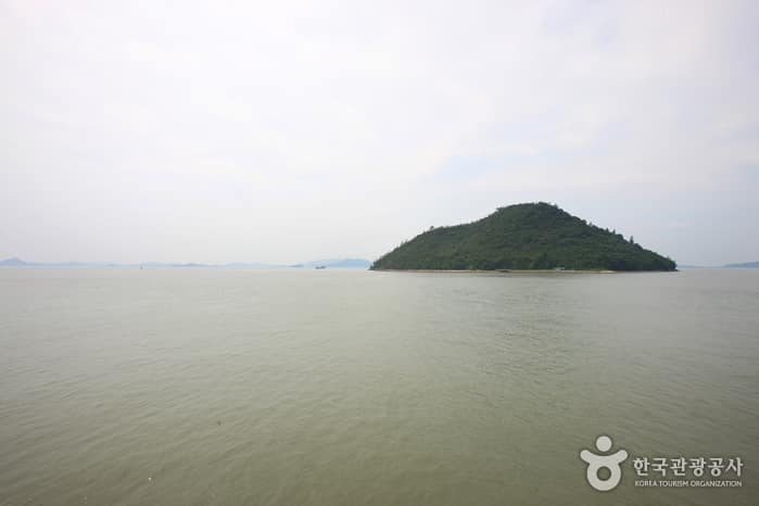 압해도_002
