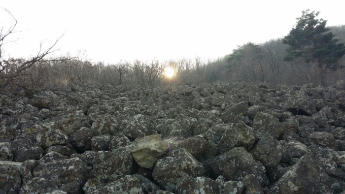 고성 제3기 현무암_6