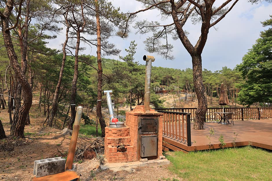 한반도 솔숲 쉼터_풍경